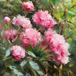 Peonies of Kiftsgate